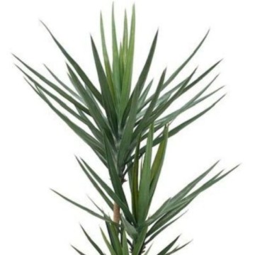 Künstliche Yucca Pflanze 180h 79 Blätter mit Topf
