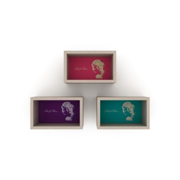 Monroe hängendes Bücherregal bestehend aus 3 Bildern RF141104