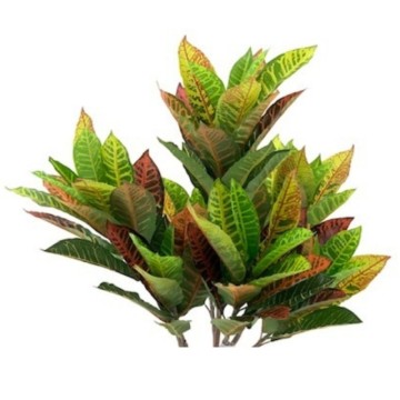 Künstliche Pflanze Croton 110h 97 Blätter