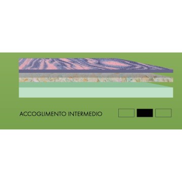 EcoSoft Doppelmatratze aus hypoallergenem Stoff 160x190