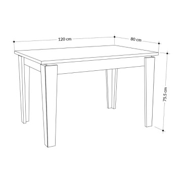 Megaron Anthrazit Ausziehtisch 120x80 cm